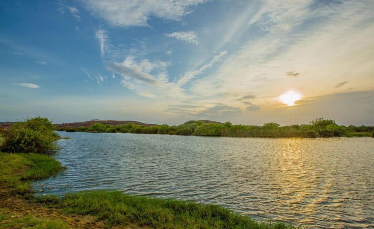 Nikara Nature Resort Arugam Bay Exterior foto